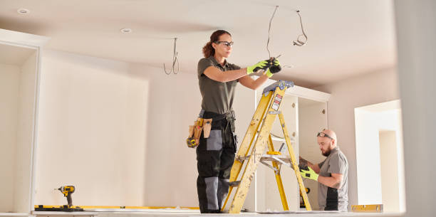Best Industrial Electrical Services  in Trempealeau, WI