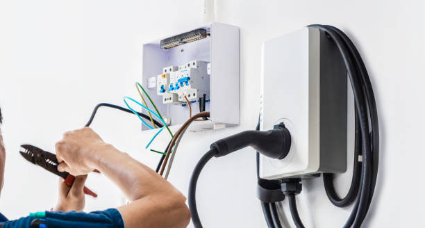 Best Electric Panel Repair  in Trempealeau, WI